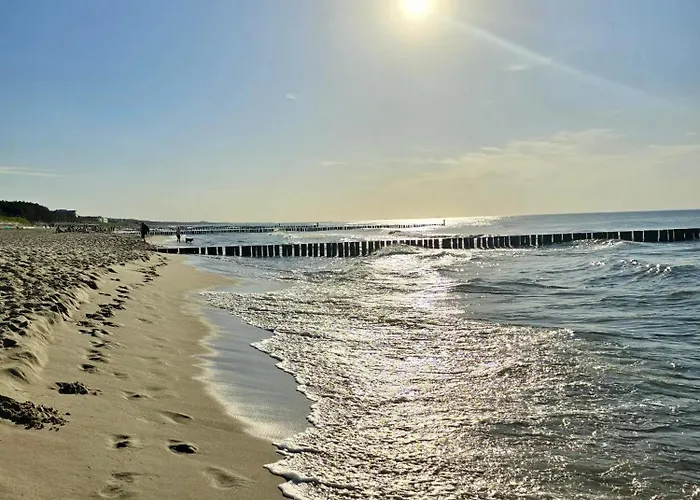 Baltic Star ミエルノ