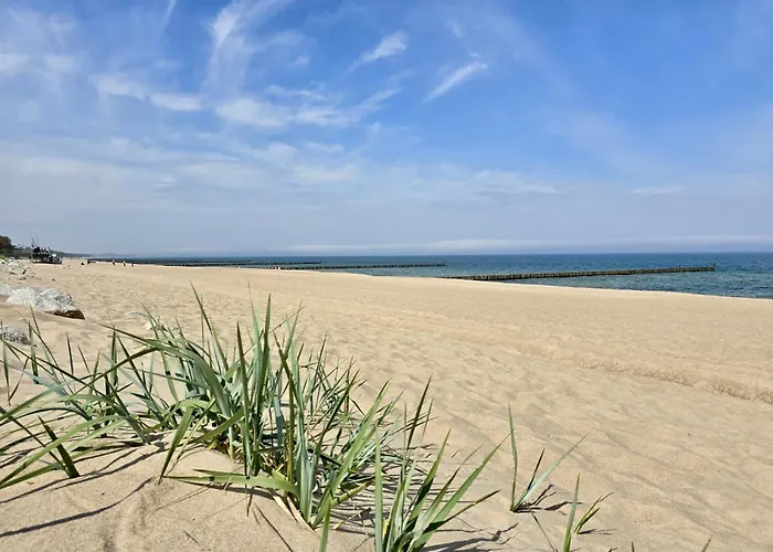 Baltic Star Мельно