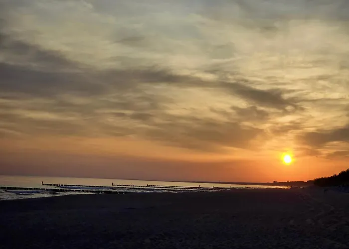 Baltic Star ミエルノ